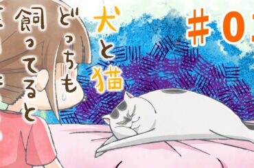 【第1話】犬と猫どっちも飼ってると毎日たのしい 2021年4/30（金）まで！【公式アニメ】