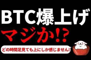 【仮想通貨ビットコイン,ETH,XRP,LTC,ADA,XEM,XLM,ATOM,IOST,UNI,CHZ】ビットコイン爆上げマジか(間近)！？ 期待しかない理由を解説します！