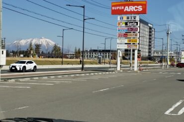 かなしいことり/斉藤由貴