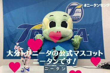 キャンプ動画に割込み？！【ニータン政見放送】2021マスコット総選挙立候補のごあいさつ/トリニータチャンネル Trinita Channel【公式】