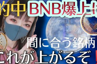【ビットコイン,XRP,NEM,BNB,DOGE,CAKE,ADA】BNB爆上げ！これが上がる❗️