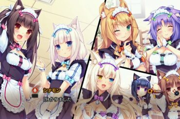 紅師がプレイする[ネコぱら vol.2 姉妹ネコのシュクレ]＃1