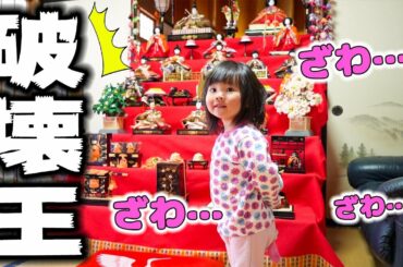 破壊されます。※扱いはメルちゃんと一緒…【ひな祭り/雛人形】　Hina-Matsuri (Girl's festival)