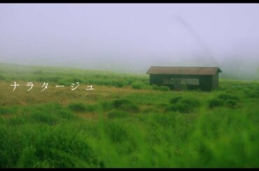 adieu [ ナラタージュ ] MUSIC VIDEO