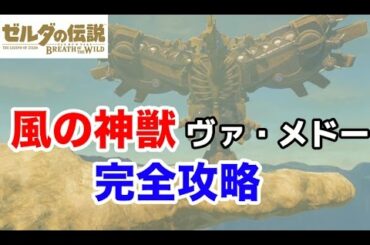 風の神獣ヴァ・メドーを完全攻略！ ゼルダの伝説 ブレスオブザワイルド