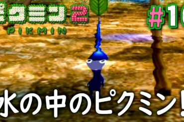 青ピクミンが仲間になった！これで水もへっちゃらだ『ピクミン2』を実況プレイpart10