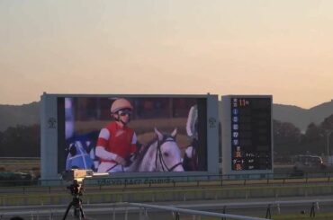 ２０１３年　ジャパンカップ　まもなく発走！ファンファーレまで　現地映像