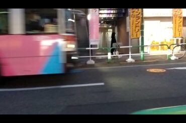 東京ｵﾘﾝﾋﾟｯｸG＊ラッピングバス～東急バス編【KAORIぷくしちごま猫】