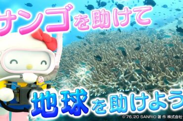 ゴール14「海の豊かさを守ろう」をキティと学ぼう！ in タオ島【ハローキティ 世界のSDGs応援 Goal 14】
