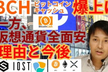【仮想通貨BTC, ETH, XRP, IOST, NEM, BCH】ビットコインキャッシュ爆上げ‼️一方で仮想通貨全面安の理由と今後