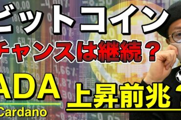 【ビットコイン＆ADA＆IOST＆NEM＆XRP＆ETH＆BCH＆DOT】仮想通貨市場一服もチャンス継続？各通貨の戦略と今後の展開