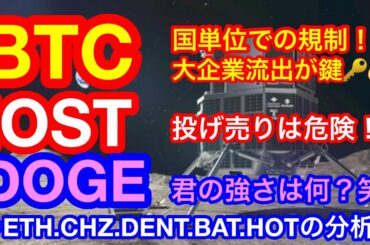 【仮想通貨 BTC.ETH.IOST.CHZ.DENT.DOGE.BAT.HOT】ビットコインに国単位での規制が❗️❗️アルトコインは売るにはまだ早い❗️チリーズ&BATは逆にチャーンス👍