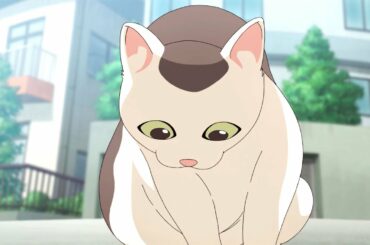 極主夫道 1話アニメ超かわいい子猫 // The Way of the Househusband best moment #6 Tatsu's super cute kitten