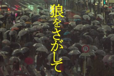 映画『狼をさがして』予告編