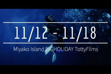 今週のBIGHOLIDAY【宮古島ファンダイビング専門店】