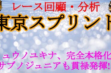 【2021東京スプリントレース回顧】大井1200mの鬼と新星の一騎打ち!!雨にもマケズの熱戦を制したリュウノユキナの今後は!?