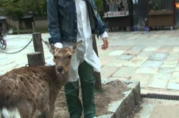 ２０１２吉田羊IN京都③