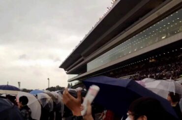 2013 エリザベス女王杯 ファンファーレ