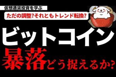 【仮想通貨ビットコイン】ビットコイン 今回の暴落をどう捉えるか？
