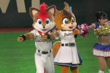 2021/4/17 フレップ＆ポリー 東京ドームでオープニングダンス