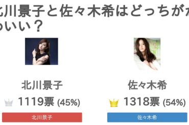 北川景子と佐々木希はどっちがかわいい？【リアルな人気投票】