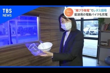 リーフレタス栽培の電力は廃プラから！ 進むプラスチック有効活用【Nスタ】