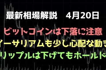 ビットコインは下落に注意｜リップルは下げてもホールド｜ビットコイン、イーサリアム、リップルの値動きを解説