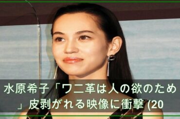 水原希子「ワニ革は人の欲のため」皮剥がれる映像に衝撃 (2021年4月20日掲載) - ライブドアニュース