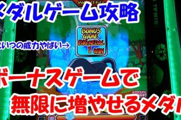 【メダルゲーム攻略！】無限に増えるメダルゲームをガチ攻略してみた！【アニマルワールド】