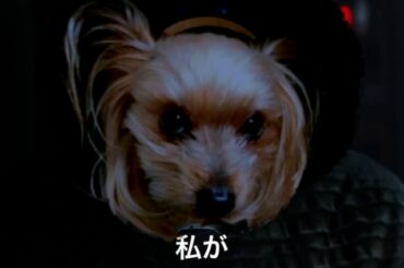 真犯人は大和田常務？