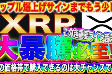 【XRP大暴騰寸前!】リップルで億るなら今がチャンス!これから超爆上がりする理由をプロトレーダーが徹底解説!【仮想通貨】