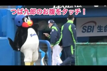 嶋基宏、つば九郎のお腹をタッチ！