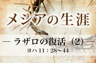 メシアの生涯（140）―ラザロの復活（2）― ヨハ11：28～44