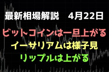 ビットコインはショートせず待つ｜リップルは上昇を想定｜ビットコイン、イーサリアム、リップルの値動きを解説