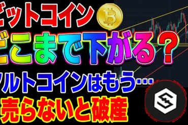 【仮想通貨】ビットコインどこまで下がる？IOSTなどアルトコインはもう終了・・・？
