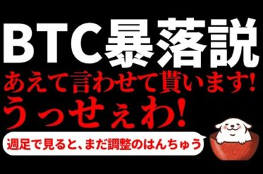 【仮想通貨 bitcoin】ビットコイン暴落説 うっせぇわ！ 週足で見るとまだまだ上昇のはんちゅうです。