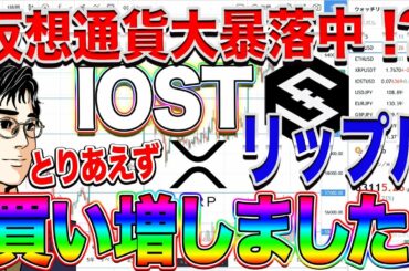 【ビットコイン教室】仮想通貨大暴落中？IOSTリップル とりあえず買い増ししました！