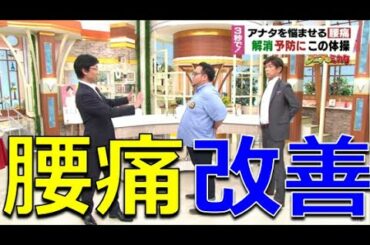 【腰痛】３秒で！腰痛の解消・予防にこの体操！腰の痛みが原因から消える！？