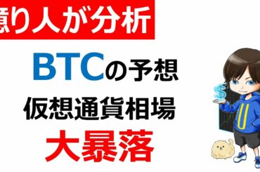 【仮想通貨大暴落】BTC（ビットコイン）どこまで下がる？