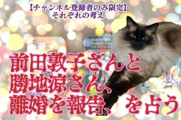 【タロットで仲良く】前田敦子さんと勝地涼さん、離婚を報告、を占う【別れて正解】