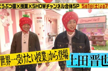 【1億3000万人のSHOWチャンネル】どうぶつ園×授業×SHOWチャンネル3番組合体SP5月1日土曜よる7時放送！