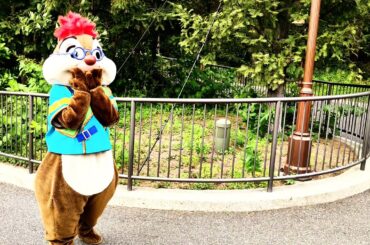 チップ&デール(助手チデ)