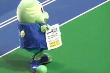 あざとかわいい～クラファンをねだるニータン