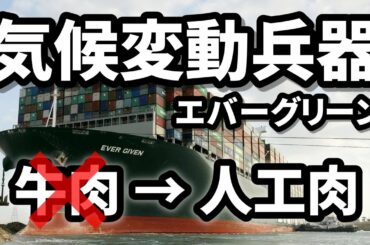 スエズ運河のコンテナ船 エバーグリーン エバーギブン 大損害を出した荷物 トルコのTV番組より 2021/04/10