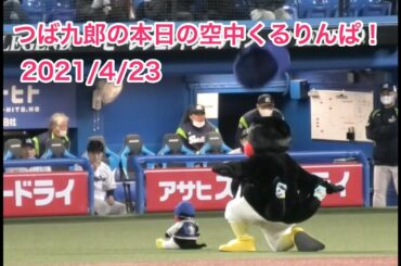 つば九郎の本日の空中くるりんぱ！ 2021/4/23
