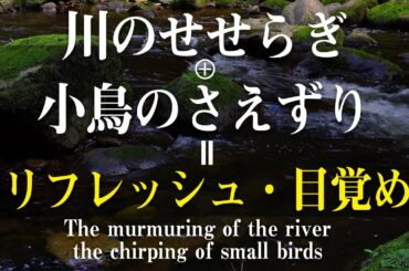 【リフレッシュ・目覚め】＜ASMR＞川のせせらぎと小鳥のさえずりでリラックスできるヒーリングミュージック、癒し・瞑想・睡眠導入・リラックス・ストレス解消・幸福・自然・爽やか・覚醒・爽快