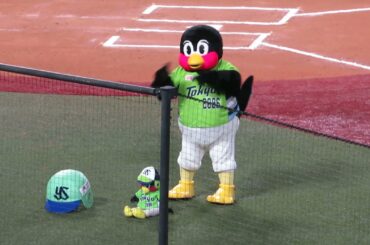 2021.4.8　つば九郎の空中くるりんぱ