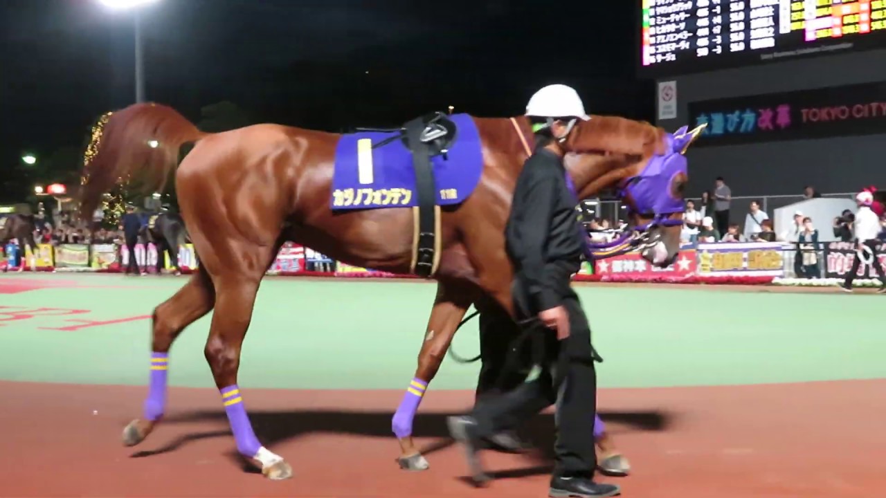 ２０１９年東京ダービーパドック