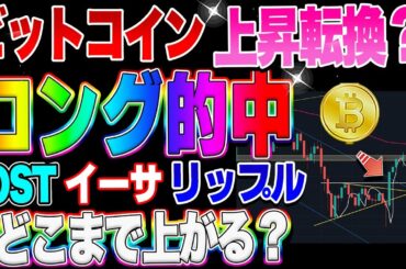 【仮想通貨】ビットコインロング的中！3000ドル爆益中！どこまで上がる？イーサ、リップル、IOST
