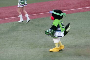 2021.4.8　試合開始前のWe Are The Swallows（つばみ）